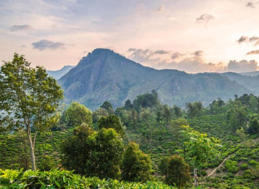 Hakgala Mountain
