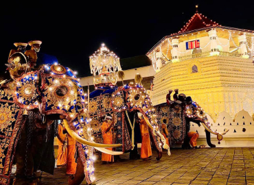 Festivals - Esala Perahera