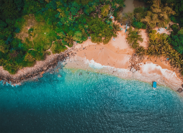 Jungle Beach