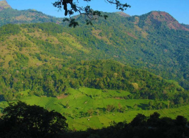 Namunukula