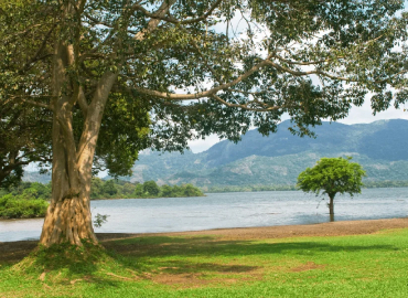 Kandalama Reservoir