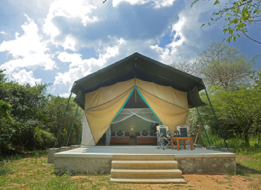 Safari Camping In Wilpattu