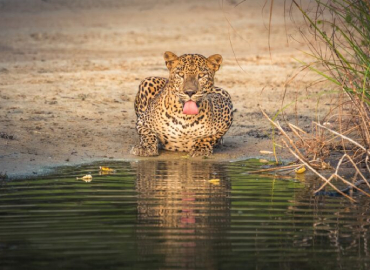 Climate and topography at Wilpattu National Park